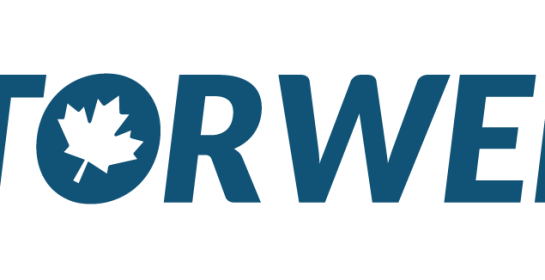thumbnail_storwell-logo-1020×325